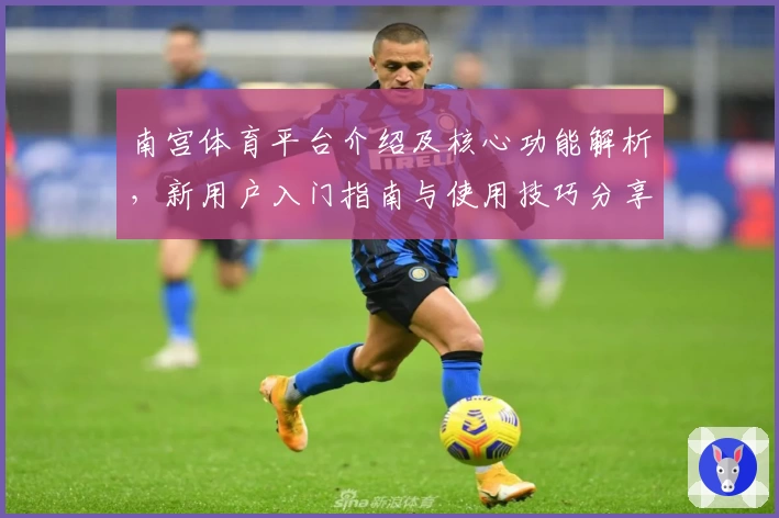 南宫体育平台介绍及核心功能解析，新用户入门指南与使用技巧分享