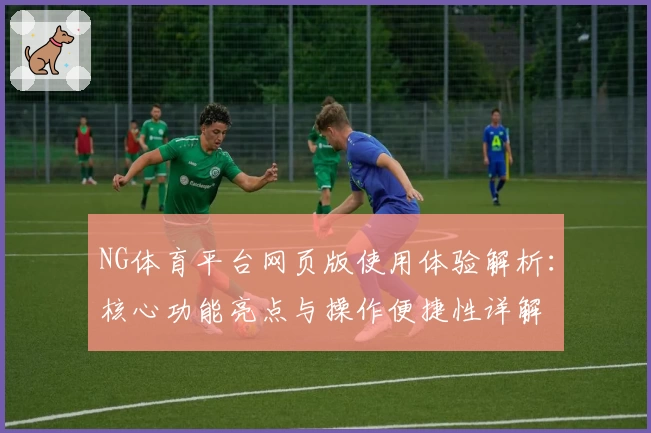 NG体育平台网页版使用体验解析：核心功能亮点与操作便捷性详解